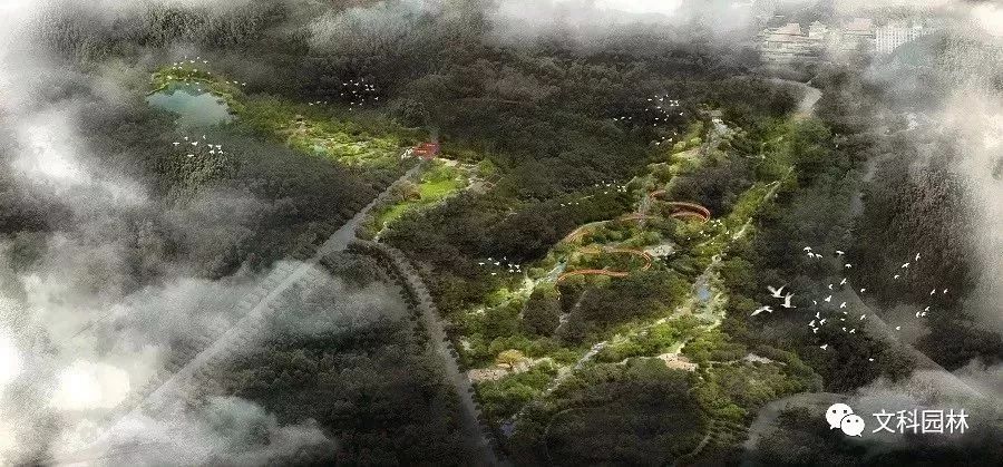 文章配图-17