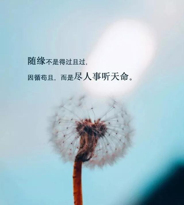 f5905c23590a468296e789383901d84f.jpeg
