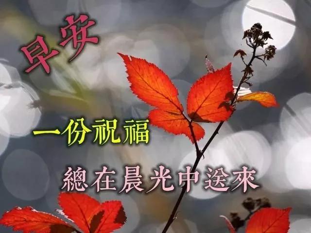 简单的生活从早上开始 f7d8210c058f46ae9dd0c413f5ceabee.jpeg