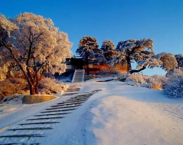 雪海,雾凇,冰挂…西安周边最美冬景已上线!