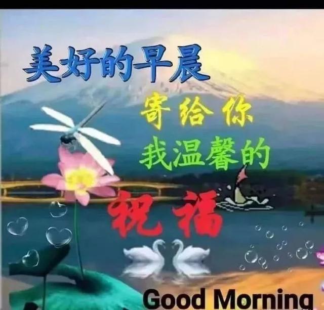 1f04a67a0909440e97fa9d20c841914a.jpeg