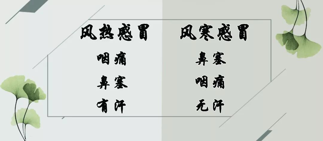 风热感冒和风寒感冒傻傻分不清?专家教你分清症状好治病!