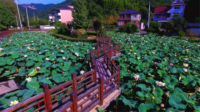 富阳区渌渚镇岘口村总人口_富阳区大源镇