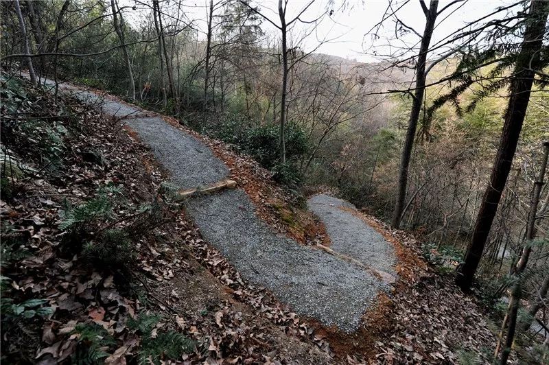 金寨国家登山健身步道获中国年度推荐最美步道殊荣