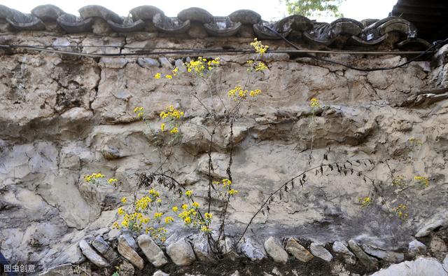 密云水库最新消息今天不老屯 2a8a062d278b403c8dcc9ec936160a59.jpeg