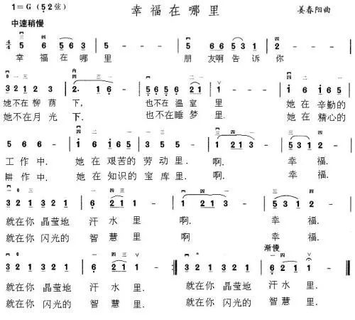 平平淡淡简单的幸福歌曲谱_平平淡淡简单的幸福(5)