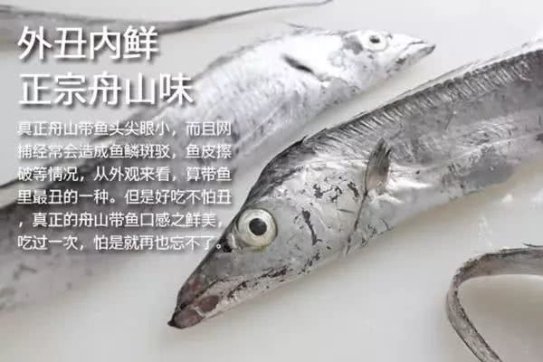 4d8ccad295f94a3c87bb54369abbabc7.jpeg