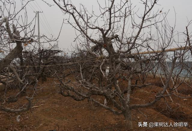 生存战争2音乐曲谱