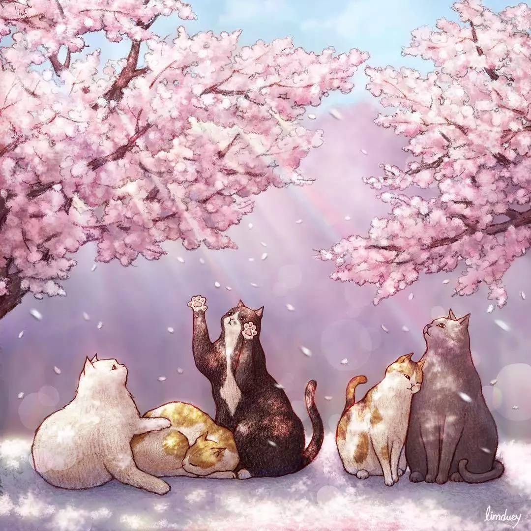 治愈系美喵|韩国设计师笔下的猫咪星球 你见过吗