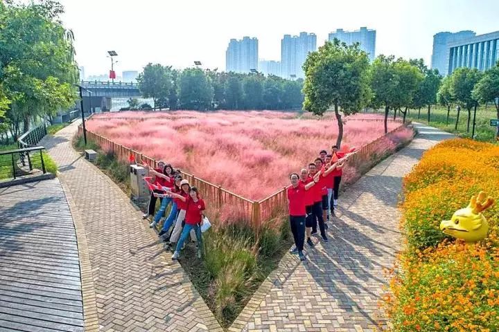 平湖市漕兑港绿道,南湖区凌公塘绿道,海盐白洋河绿道,海宁洛塘河绿道