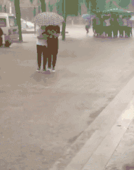 搞笑gif:这么多人在旁边都不吃,肯定是刚吃饱了