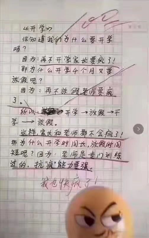 一组神作文,看后不准笑,也不能哭!