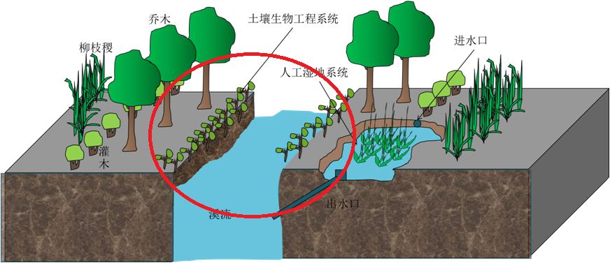 案例分享他山之石丨美国爱荷华州熊溪流域生态修复案例