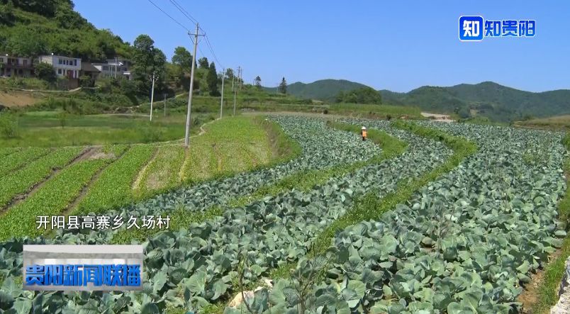 开阳县高寨乡平寨村人口(2)