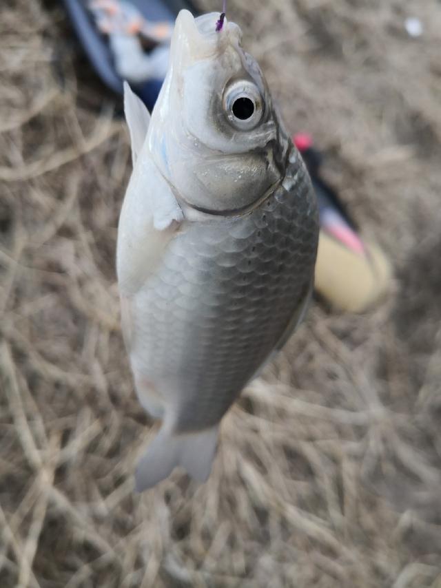 badee75f171541d0aaa8df168f376815.jpeg