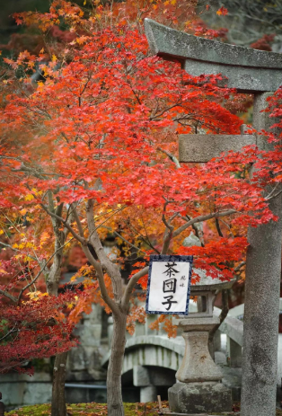 人口很集中_看北京市的门头沟区:城区人口很集中,已越来越像现代化的大都市(2)