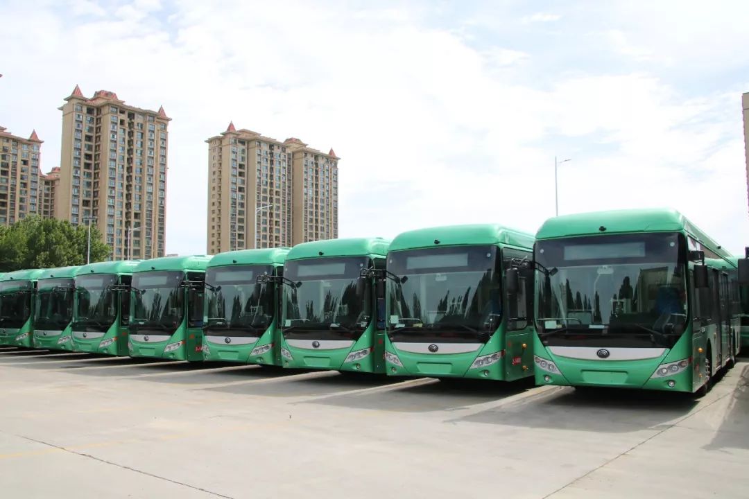 免费公交有哪些地方 d2bed144d95d437e8348cf5e5090b52b.jpeg
