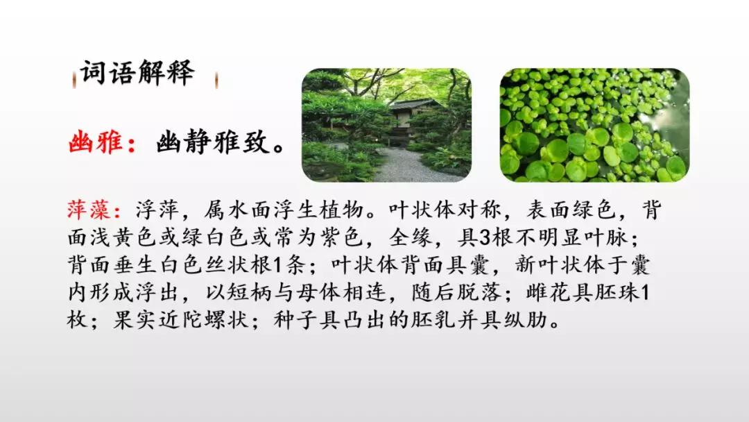 d60b1dc067a7434d8cff967209a91766.JPG