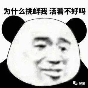 张翰和郑爽难道真的要复合了吗?