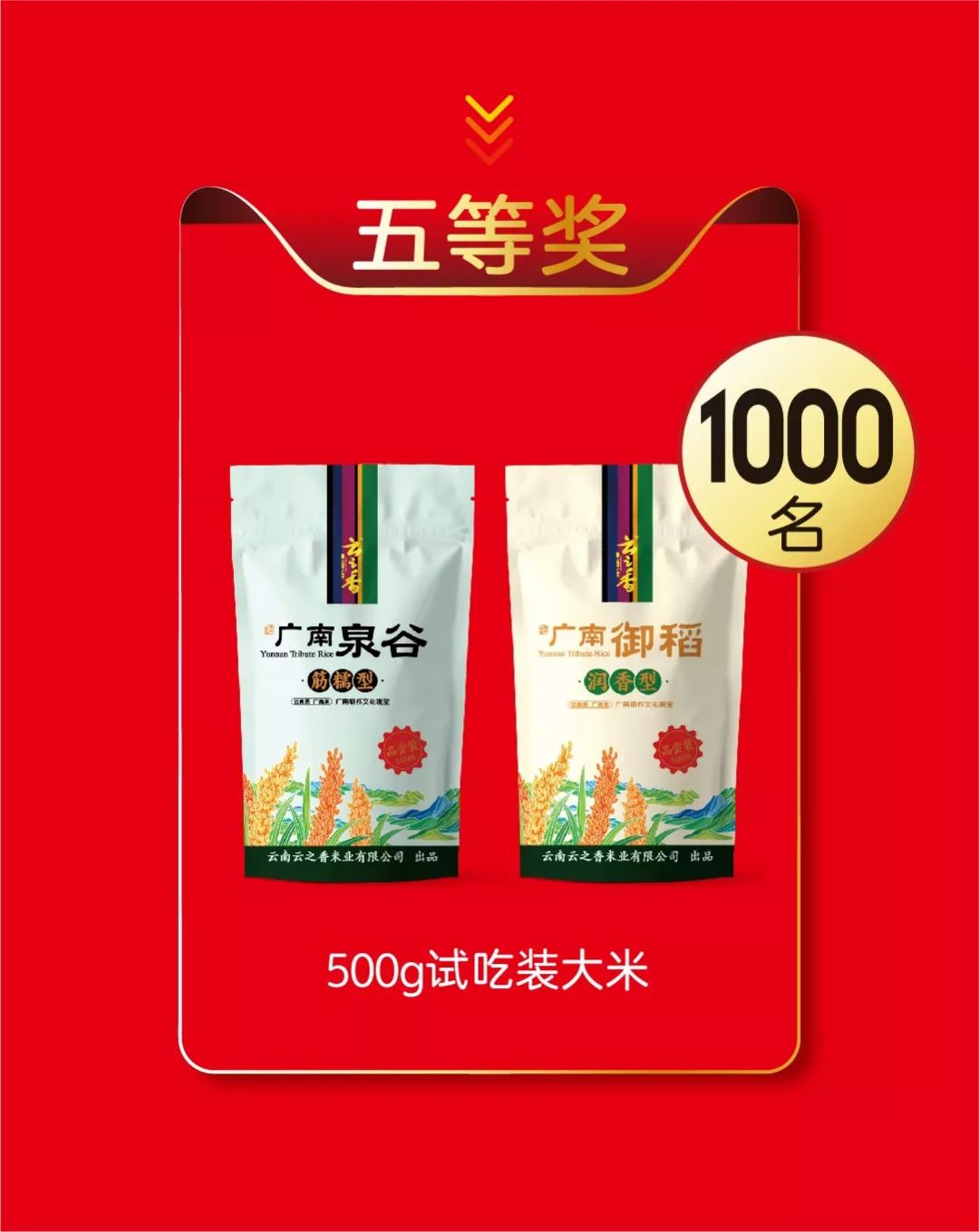db20aa801c854650846d88c9a29b5ba4.jpeg