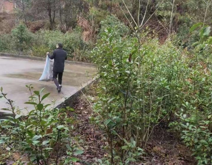 枫岭头人口_人口普查(3)