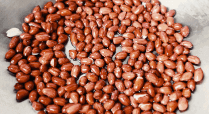 e47a607ce7c8442bb9d793e9499f815b.gif