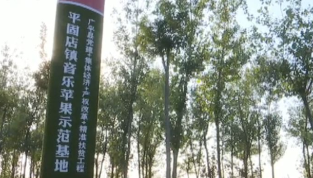 广平gdp_快来看看2018年邯郸各县市区GDP数据广平排第几(3)