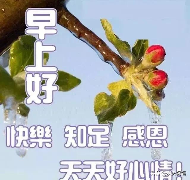 周六清晨最美早安问候语图片带字温馨,早上好动态表情