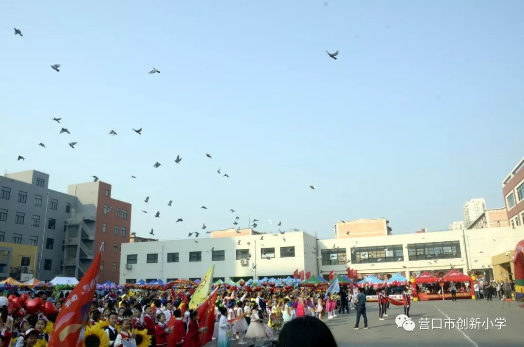 营口市鲅鱼圈区实验学校