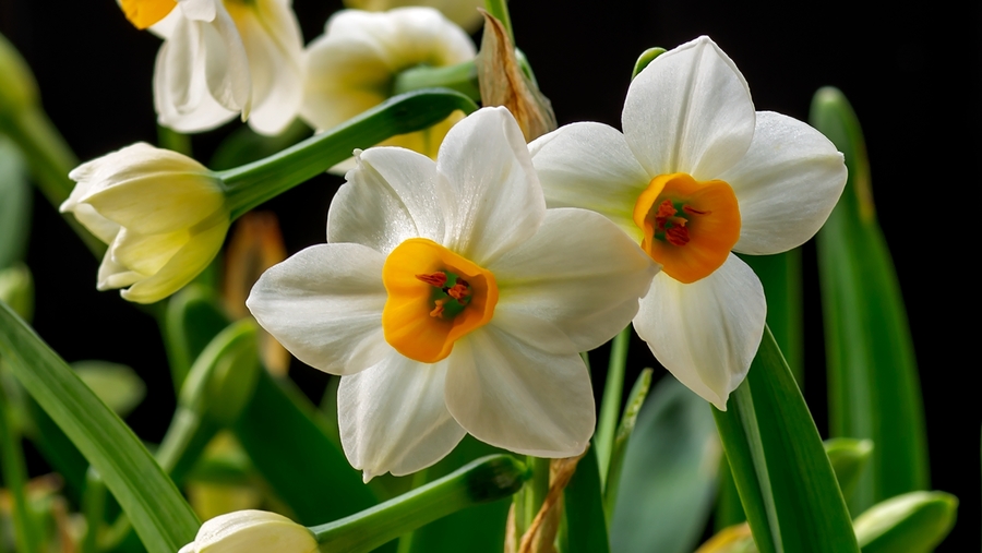 命运是天注定的吗?