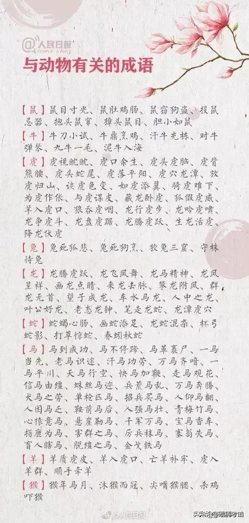 花什么实成语_成语花根什么心