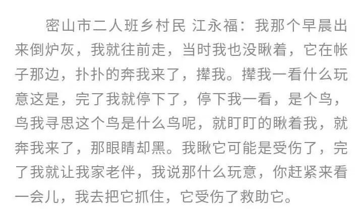 救济简谱_儿歌简谱(2)