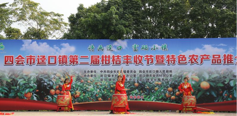 迳口镇人口_四会市迳口镇天鹅湖(2)