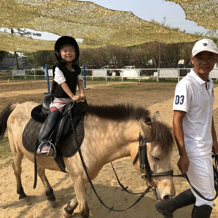 召集半天1月11日周六下午场番禺海鸥岛小小马术师喂小马骑小马亲子