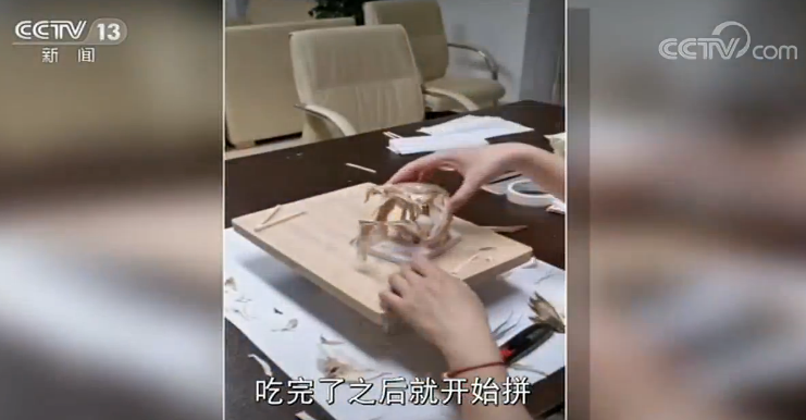 吃完黄焖鸡拼出始祖鸟副研究员成网红白岩松：卢老师继续吃丰富地吃！