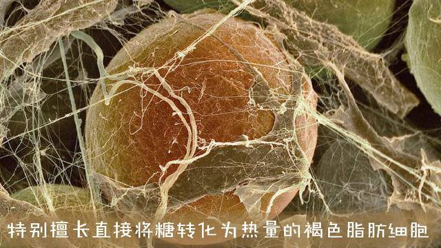 2ab519e0277b4711b111fd7a4840c99c.jpeg