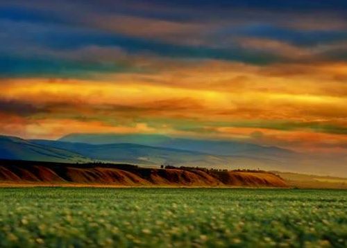 乌兰红梅《把你带回我的草原》非常好听的草原