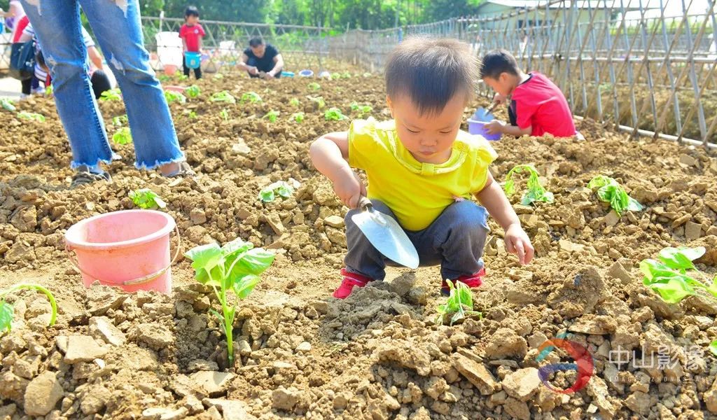 脍炙人口蚂蚁农场_脍炙人口图片