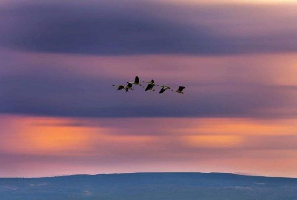 乌兰红梅《把你带回我的草原》非常好听的草原