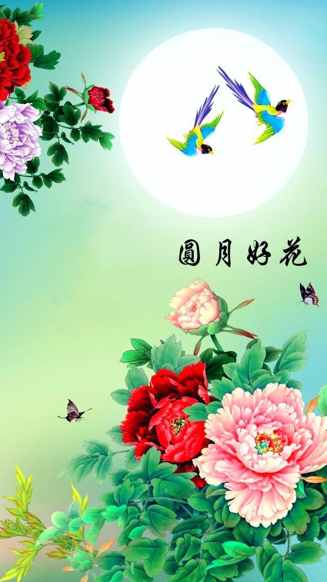 手机壁纸:家和万事兴,流水生财,花开富贵,一生平安