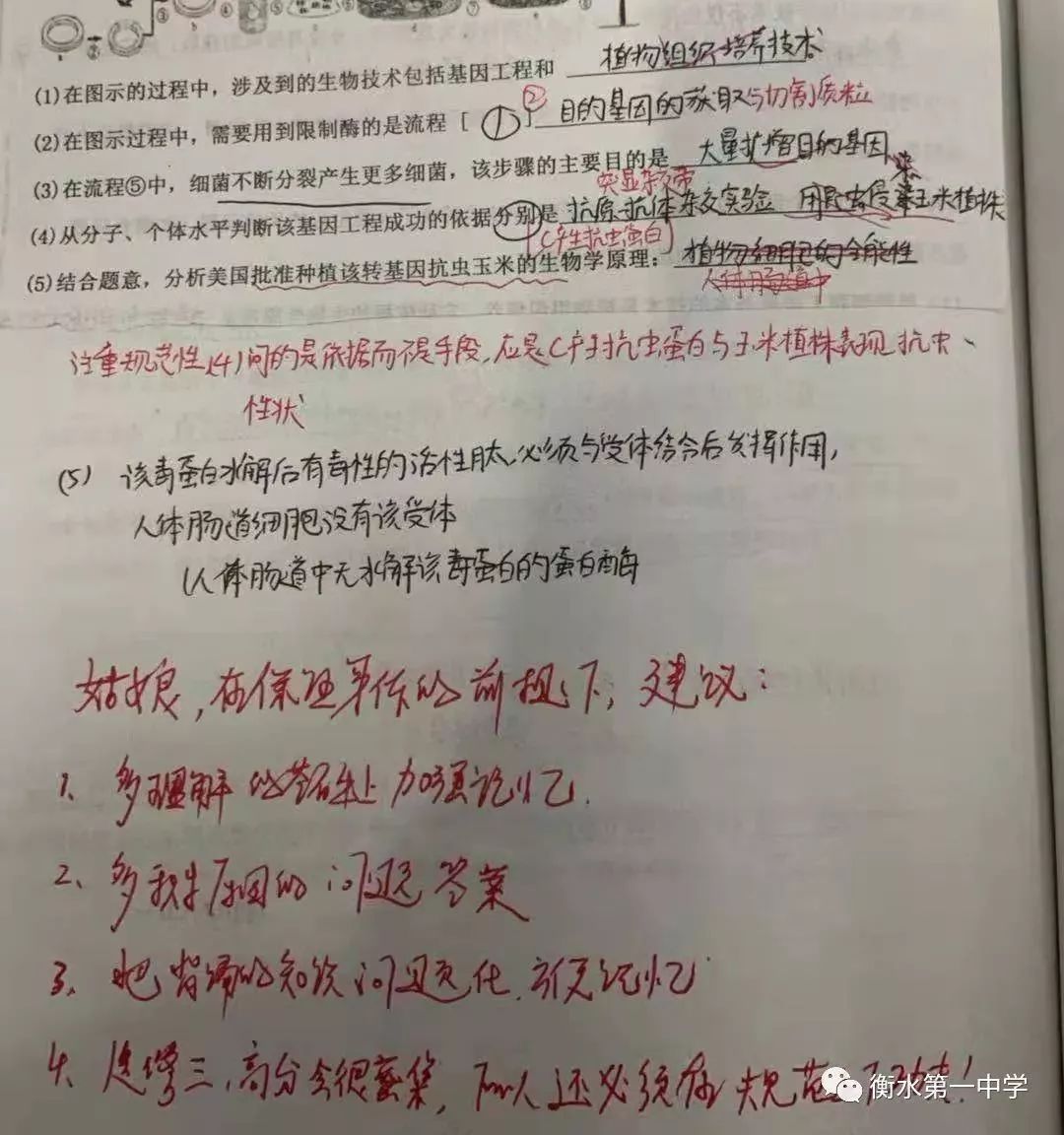 8fe082856e514b9e88459f7ab29435d1.jpeg