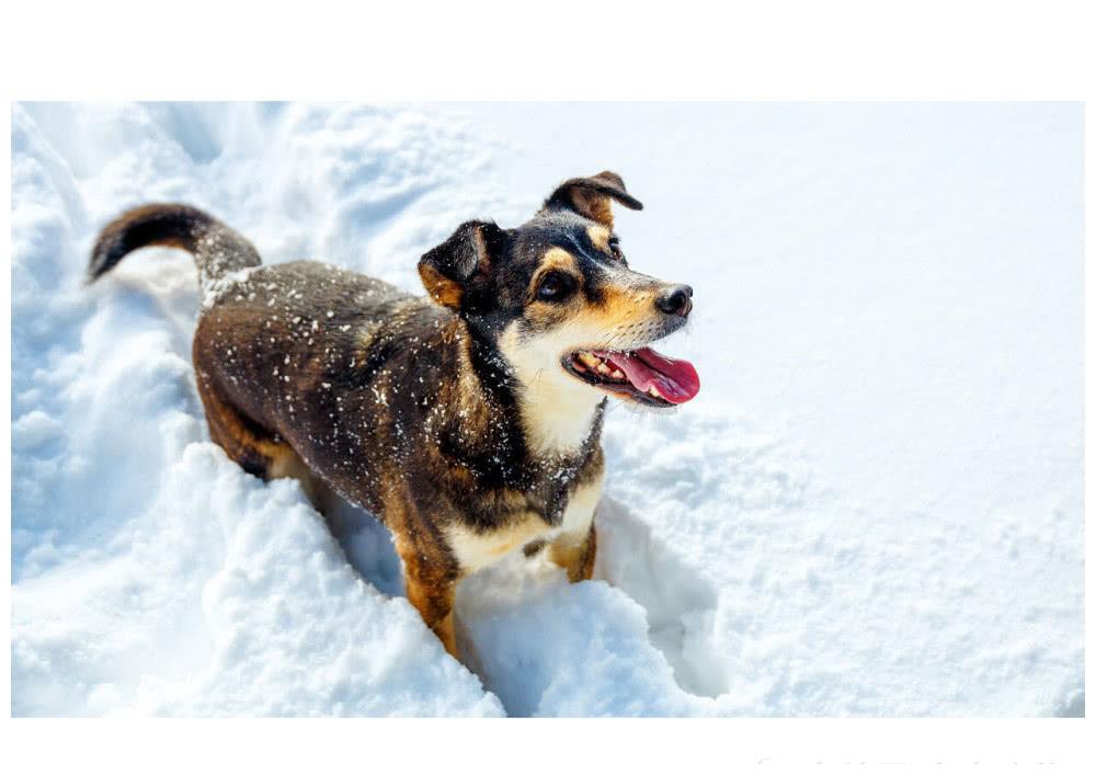 什么时候可以出门的说说 9535a878958144f68b1a72a4cf8920bf.jpeg