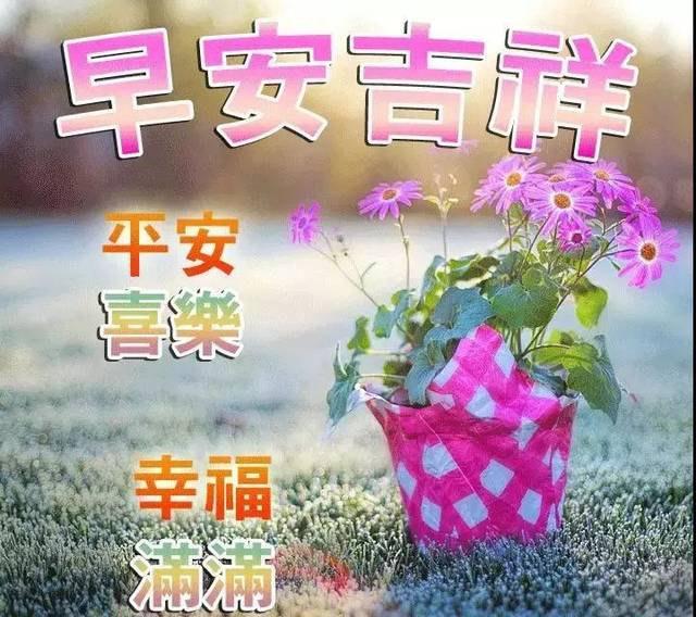 2020°ƯϺʺ򶯻鶯̬ͼƬ ܰ簲