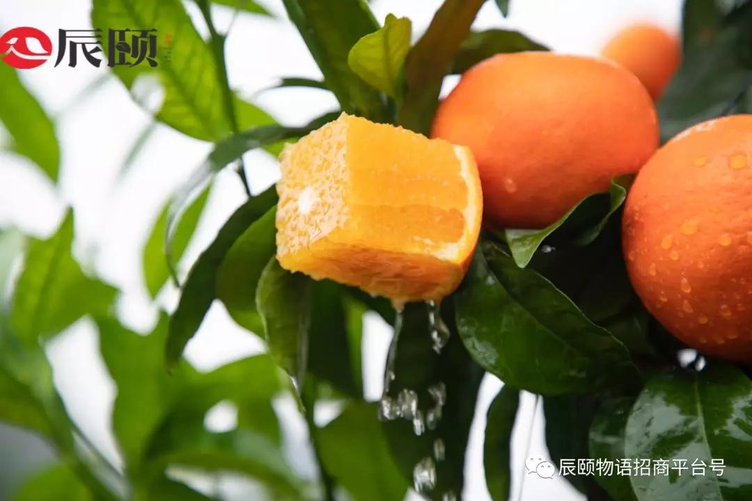 9ab7050c25114940942c072c8192ebc5.JPG