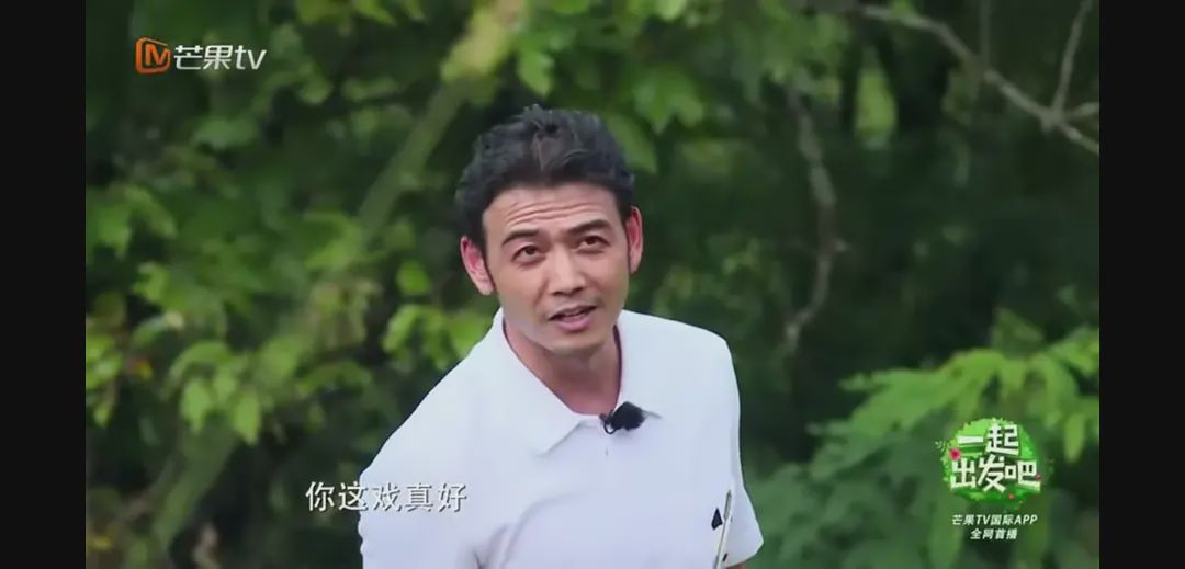 原创杨烁因为一个综艺败光了自己的观众缘