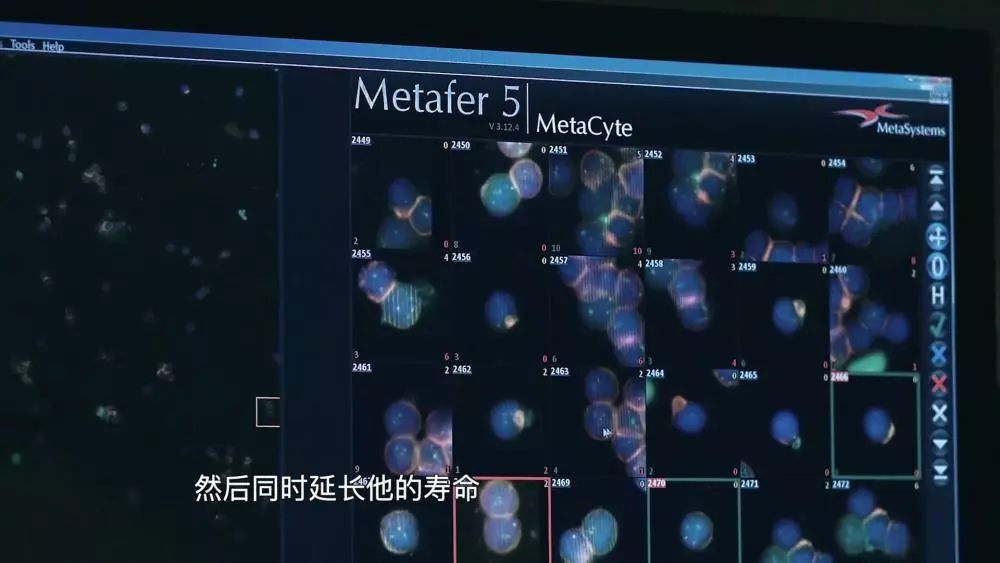 群星基因飞升人口增长率_中国人口增长率变化图