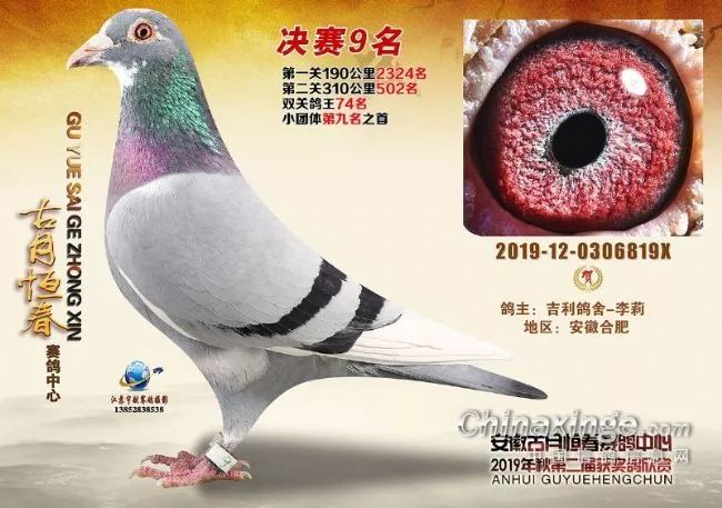 ac612fc84f204fa8b1348d2419c940d8.jpeg