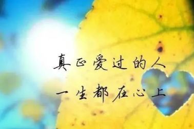 ae20bcc1a6524408b98cb21ed3c33f5a.jpeg