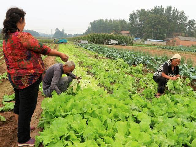 b184e54ac4a441008767c155f3f45398.jpeg