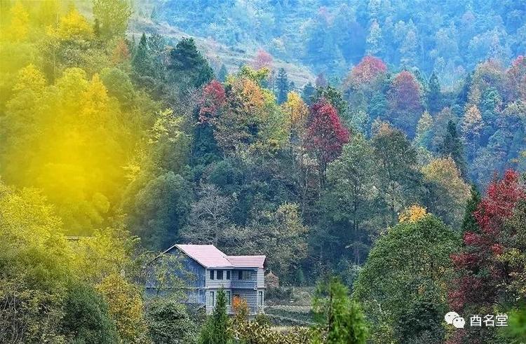 酉阳县城人口有多少_四川最有后劲的城市,不是宜宾 泸州,南充 遂宁也只能排后(2)